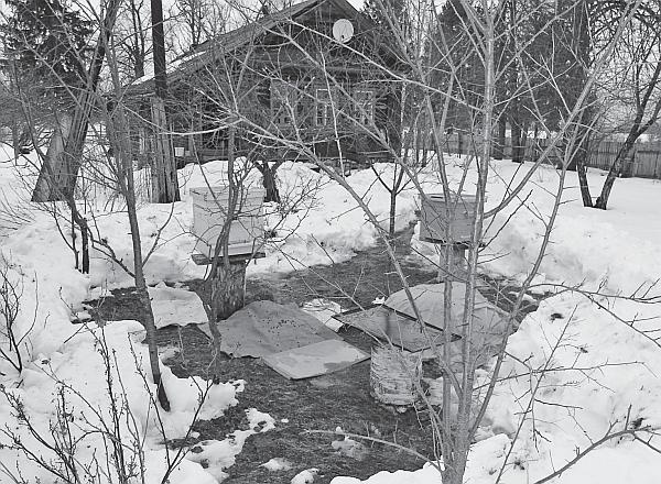 Иллюстрация к книге — Пчеловодство для начинающих [_59.jpg]