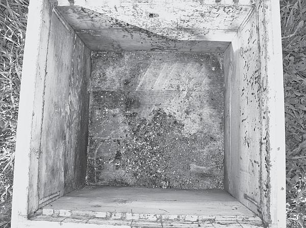 Иллюстрация к книге — Пчеловодство для начинающих [_69.jpg]