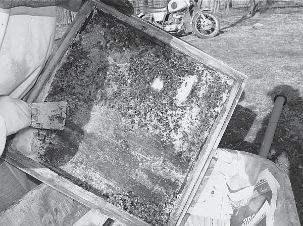 Иллюстрация к книге — Пчеловодство для начинающих [_74.jpg]