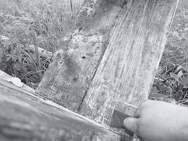 Иллюстрация к книге — Пчеловодство для начинающих [_77.jpg]