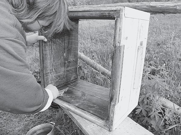 Иллюстрация к книге — Пчеловодство для начинающих [_79.jpg]