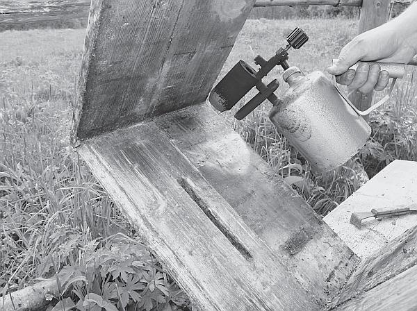 Иллюстрация к книге — Пчеловодство для начинающих [_81.jpg]