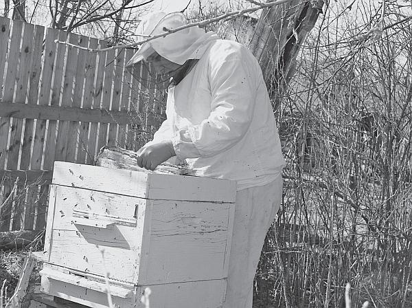 Иллюстрация к книге — Пчеловодство для начинающих [_83.jpg]