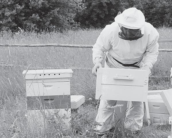 Иллюстрация к книге — Пчеловодство для начинающих [_88.jpg]