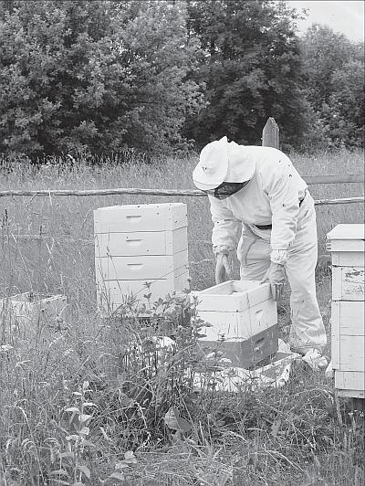 Иллюстрация к книге — Пчеловодство для начинающих [_92.jpg]
