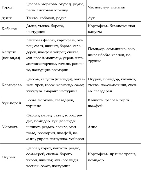 Иллюстрация к книге — Отличный урожай круглый год [i_023.jpg]