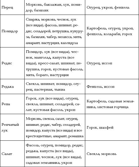 Иллюстрация к книге — Отличный урожай круглый год [i_024.jpg]