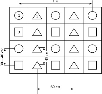Иллюстрация к книге — Отличный урожай круглый год [i_026.jpg]