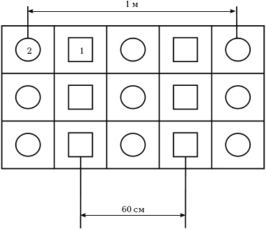 Иллюстрация к книге — Отличный урожай круглый год [i_028.jpg]