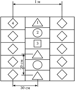 Иллюстрация к книге — Отличный урожай круглый год [i_033.jpg]