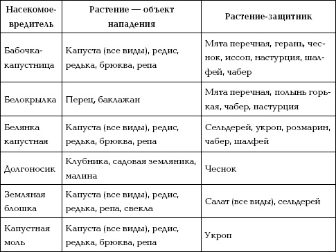 Иллюстрация к книге — Отличный урожай круглый год [i_037.jpg]
