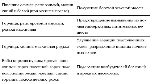 Иллюстрация к книге — Отличный урожай круглый год [i_048.jpg]