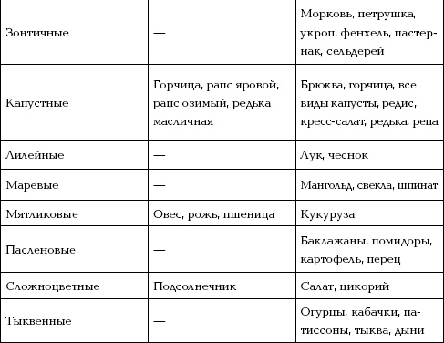 Иллюстрация к книге — Отличный урожай круглый год [i_050.jpg]