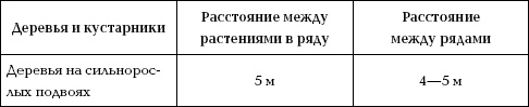 Иллюстрация к книге — Отличный урожай круглый год [i_076.jpg]