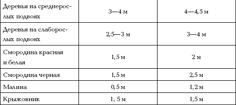 Иллюстрация к книге — Отличный урожай круглый год [i_077.jpg]