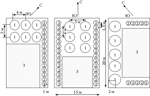 Иллюстрация к книге — Отличный урожай круглый год [i_079.jpg]