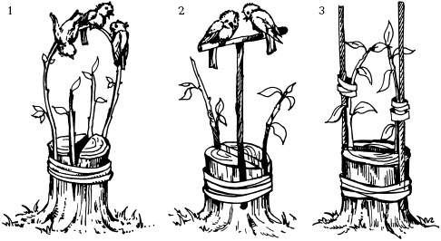 Иллюстрация к книге — Отличный урожай круглый год [i_098.jpg]