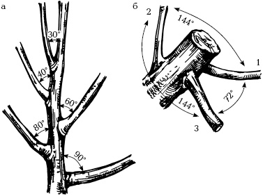 Иллюстрация к книге — Отличный урожай круглый год [i_123.jpg]
