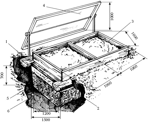 Иллюстрация к книге — Отличный урожай круглый год [i_130.jpg]