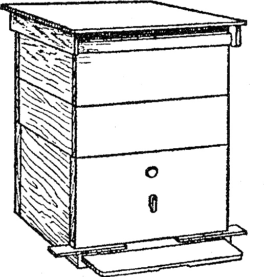 Иллюстрация к книге — Основы пчеловодства. Самые необходимые советы тому, кто хочет завести собственную пасеку [_042_1.jpg]