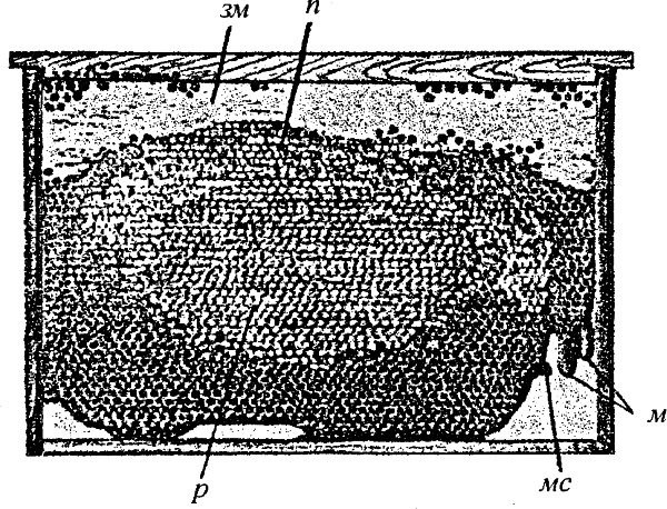 Иллюстрация к книге — Основы пчеловодства. Самые необходимые советы тому, кто хочет завести собственную пасеку [_073_1.jpg]