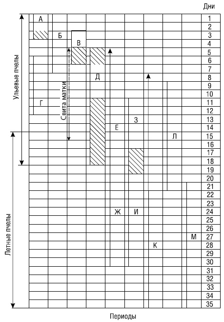 Иллюстрация к книге — Полный справочник пчеловода [i_015.jpg]