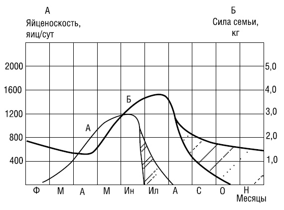 Иллюстрация к книге — Полный справочник пчеловода [i_018.jpg]