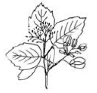 Иллюстрация к книге — Полный справочник пчеловода [i_046.jpg]