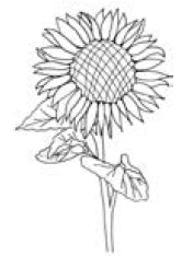 Иллюстрация к книге — Полный справочник пчеловода [i_067.jpg]