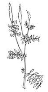 Иллюстрация к книге — Полный справочник пчеловода [i_069.jpg]