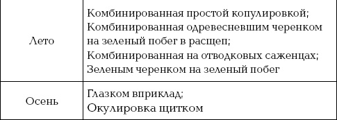 Иллюстрация к книге — Ваш домашний виноградник [_35_2.jpg]