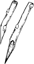 Иллюстрация к книге — Ваш домашний виноградник [_43.jpg]