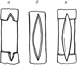 Иллюстрация к книге — Ваш домашний виноградник [_59.jpg]