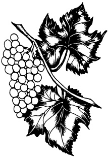 Иллюстрация к книге — Ваш домашний виноградник [_84.jpg]