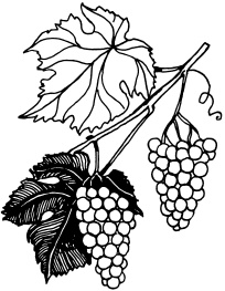 Иллюстрация к книге — Ваш домашний виноградник [_88.jpg]