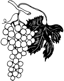 Иллюстрация к книге — Ваш домашний виноградник [_90.jpg]