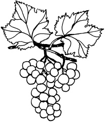 Иллюстрация к книге — Ваш домашний виноградник [_91.jpg]