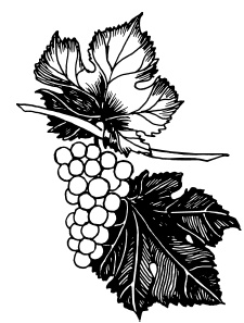 Иллюстрация к книге — Ваш домашний виноградник [_92.jpg]