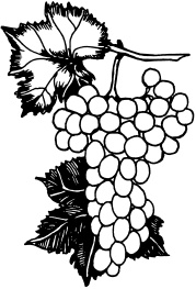 Иллюстрация к книге — Ваш домашний виноградник [_93.jpg]