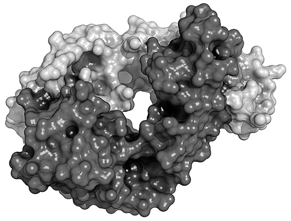 Иллюстрация к книге — [Не]правда о нашем теле. Заблуждения, в которые мы верим [i_010.jpg]