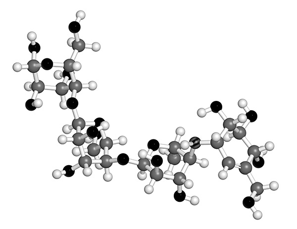Иллюстрация к книге — [Не]правда о нашем теле. Заблуждения, в которые мы верим [i_011.jpg]