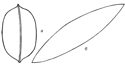 Иллюстрация к книге — Букеты. Искусственные цветы [i_017.jpg]