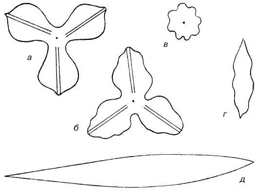 Иллюстрация к книге — Букеты. Искусственные цветы [i_030.jpg]