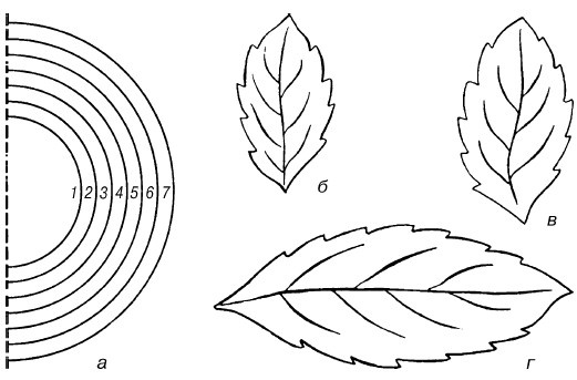Иллюстрация к книге — Букеты. Искусственные цветы [i_033.jpg]