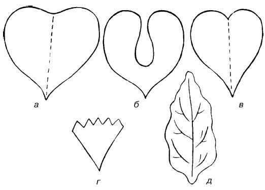 Иллюстрация к книге — Букеты. Искусственные цветы [i_039.jpg]