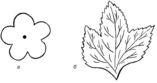 Иллюстрация к книге — Букеты. Искусственные цветы [i_046.jpg]