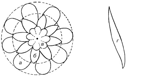 Иллюстрация к книге — Букеты. Искусственные цветы [i_056.jpg]