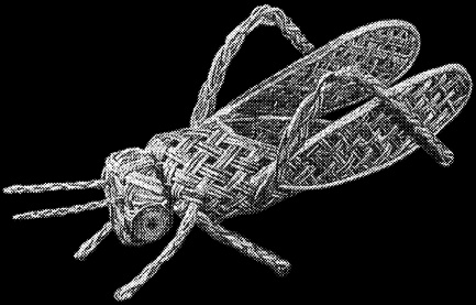 Иллюстрация к книге — Изделия из лозы [i_081.jpg]