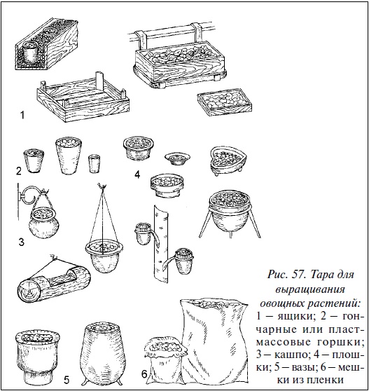 Иллюстрация к книге — Современные теплицы и парники [i_063.jpg]