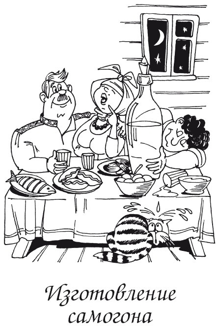 Иллюстрация к книге — Вино, наливки, самогон. Своё вкуснее! [autogen_ebook_id7.jpg]